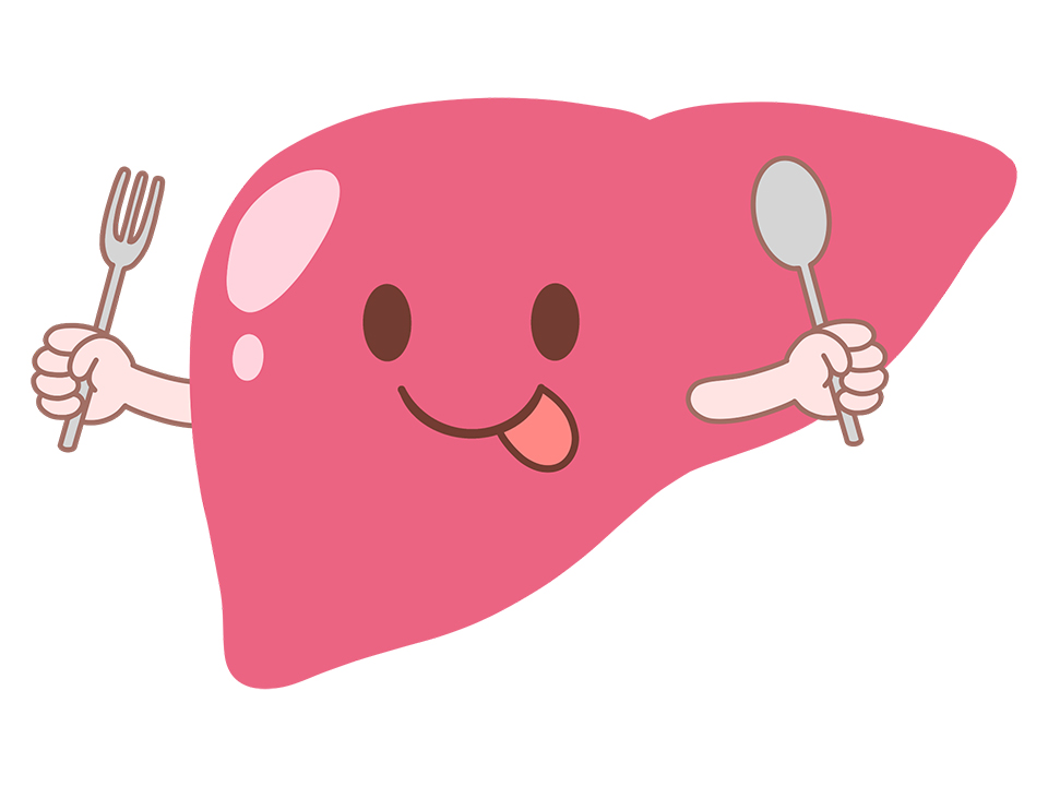 脂肪肝の検査