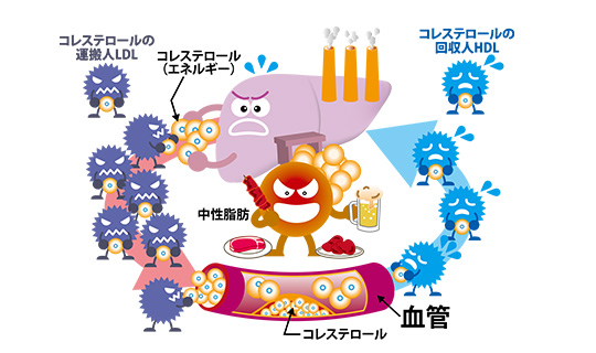 肝疾患に関する予備知識