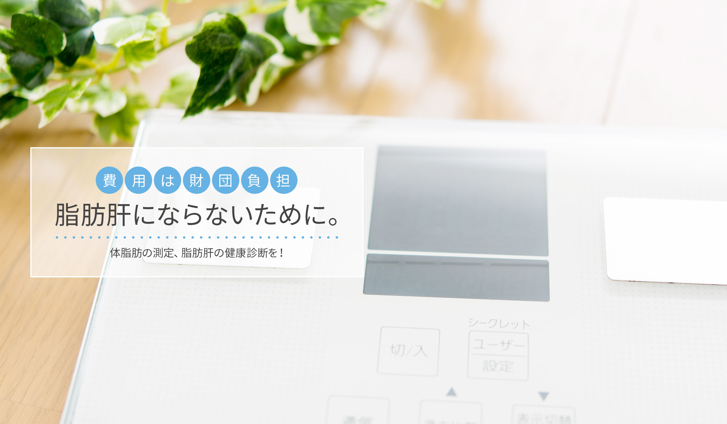 費用は財団負担　脂肪肝にならないために。体脂肪の測定、脂肪肝の健康診断を！